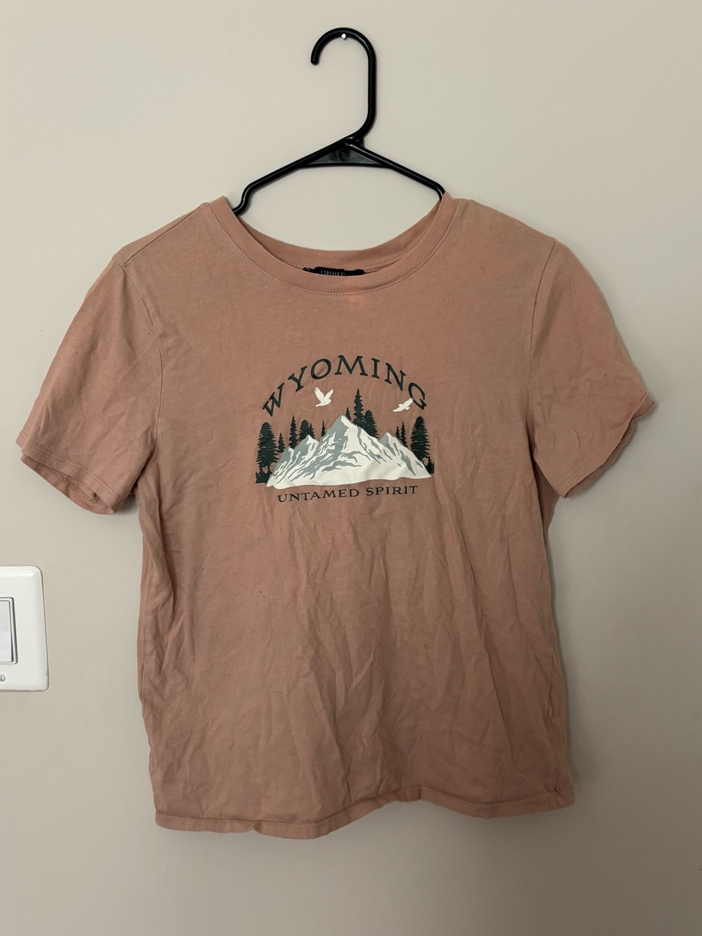 Forever 21 Dusty Rose Wyoming Graphic Tee